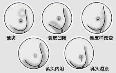 圖片3.png