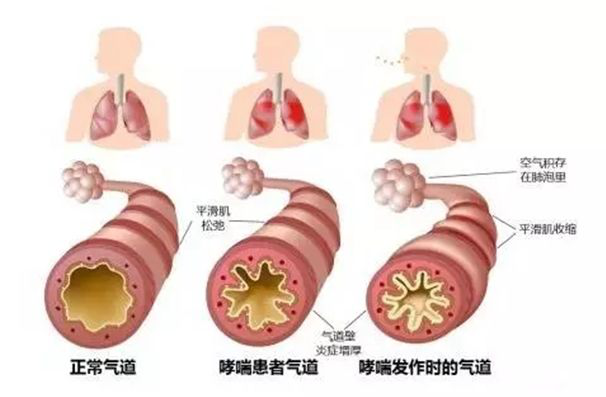 圖片2.png